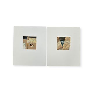 Ann D. Williams (Californian, 20th C) Lot of 14 Works on Paper
